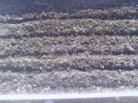 IMG 20130421 WA0002