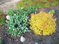 Изображение1 050