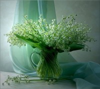 2492ba3a6507d45169271cc4bba1c6da