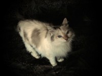 DSC01670