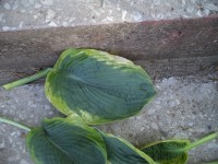 DSC00015
