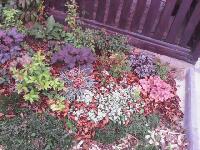 IMG 20140930 190840