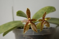 33290 800x536  DSC0855 1