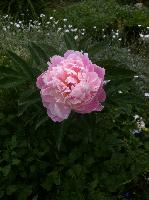 image 21 06 16 10 05