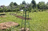 IMG 4859