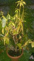 WP 20150727 21 03 33 Pro