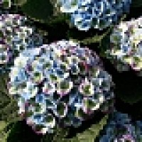 6269f176fcf7616fadd46bf932c81129