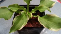 20130328 223500