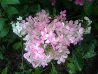 20120826 084029