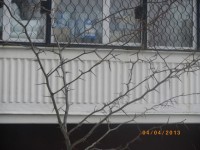 IMGP5168