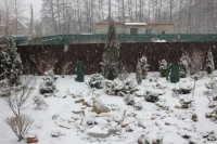 IMG 4612