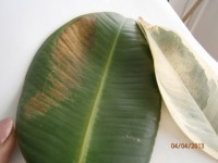 P4040025