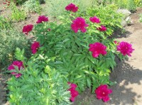 Изображение 057