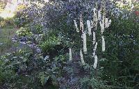 IMG 20140907 162247