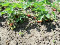 Изображение 060