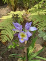 DSC04791