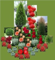 imagesCAU2T9SW