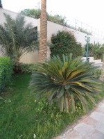 DSC01757