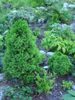 06 июня 2012 010