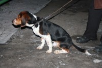 IMG 0573