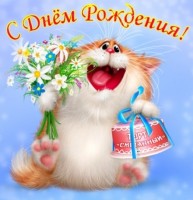 Рыжий котик с днем рождения