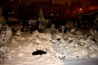 IMG 4625
