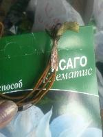CAM04992