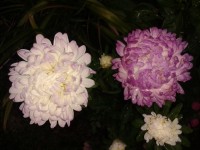 20140913 190506