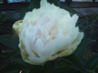 Анатолий Скакодуб 1