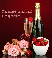 birthday 366