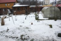 IMG 4581