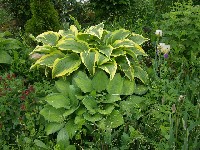 P5300037