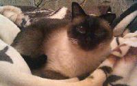 IMG 03 07 2015 214458