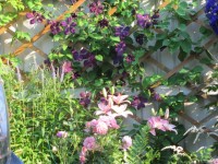 Негрита и лиьки