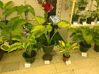 WP 20150708 15 57 48 Pro