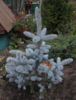 IMG 5841