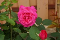 DSC03077
