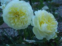 DSCN0583