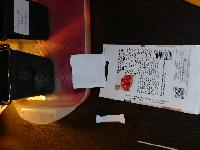 посев томатов 3