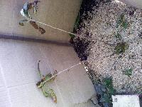 IMG 20150826 170700