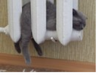 Безымянный