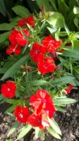2013 07 04 0306