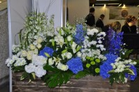 Выставка Цветы 2010 3