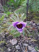 IMG 20160531 WA0000