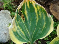 2013 06 21 001 091