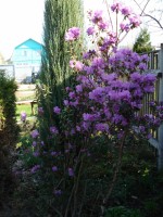 DSC01842