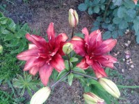 20140704 205125