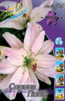SPRING PINK