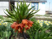 DSC00040