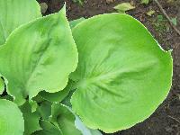 Изображение 279